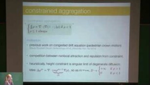 Minimizers and gradient flows in the slow diffusion limit