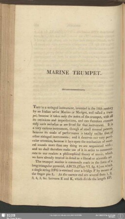 Marine Trumpet
