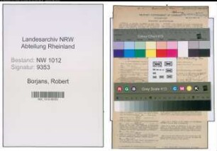 Entnazifizierung Robert Borjans , geb. 04.09.1910 (Buchhalter)