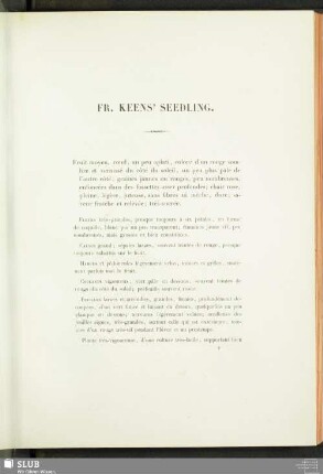 Fr. Keens' Seedling