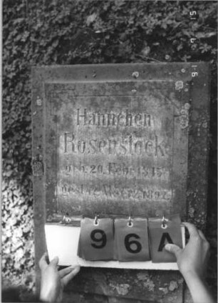 Grabstein 96 [Hahn S. 182 Grab-Nr. 818]: Grabstein 96A [Hahn S. 182 Grab-Nr. 818]