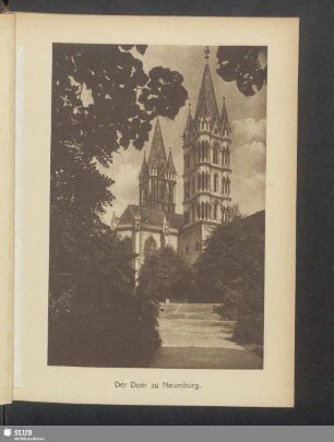 Der Dom zu Naumburg