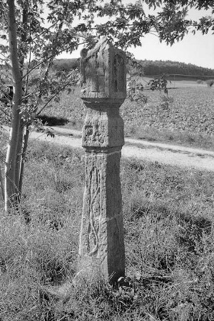 Bildstock (Bildstock); Eiterfeld, Mühlwiesen
