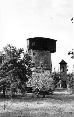 Nerchau. Turmholländer an der Würschnitzer Straße