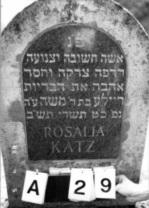 Grabstein 29 (Index: 100108226) Material: Kalkstein, schwarze Marmorplatte Zustand: gut Maße HxBxT: 100x51x16 cm Beschreibung: Stele, Sockel, Rundbogenabschluß, Schriftplatte: Grabstein 29A