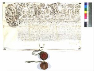 Der Ritterschafts-Kanton Neckar-Schwarzwald immatriculiert den Obristleutnant August Friedrich v. Harling zu Münchingen