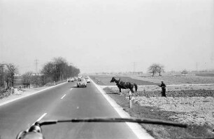 Eggenstein: Pferd mit Pflug am Straßenrand der B 36