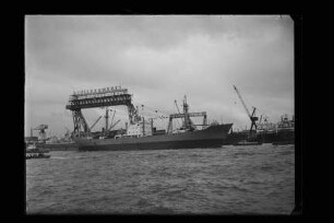 Zosma (1959), v. Nievelt (Hbg)
