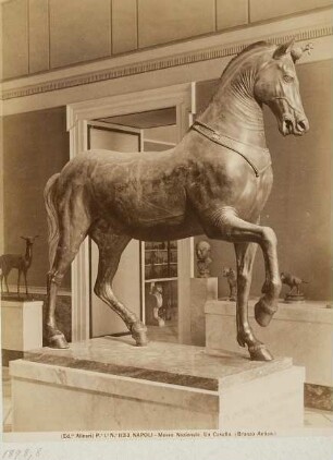 Pferd, antike Bronze, Archäologisches Nationalmuseum, Neapel