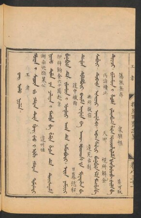 Wang oho niyalma = 王者