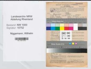 Entnazifizierung Wilhelm Niggemann, geb. 07.02.1906 (Techn.Angest.)