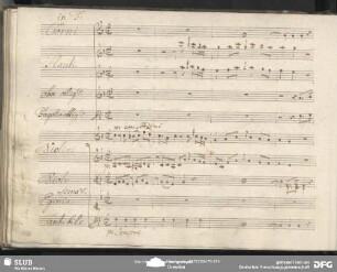 Cavatina: "Ah che in van io piango"