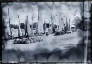 Le Pouliguen. Fischerboote im Hafen