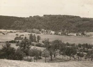 Leisnig. Klosterbuch. Ortsansicht von Nord