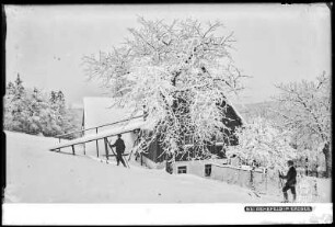 Rehefeld im Erzgebirge mit Schnee