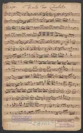 Flauto traverso concertato