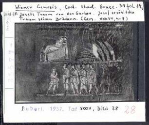 Wiener Genesis (Wien, Cod. theol. graec. 31), fol. 14v: Josefs Traum von den Garben