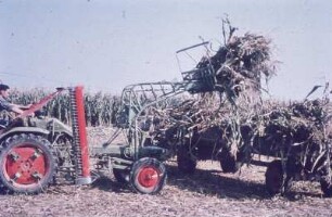 Fotografie: Futtererntetechnik, Frontlader, Geräteträger, Mais, Fingerbalkenmähwerk, Zweiachsanhänger
