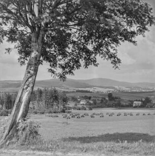 Landschaft vor Crostau : Crostau. Blick ins Lausitzer Bergland