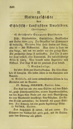 Naturgeschichte der Schlesisch-Lausitzischen Amphibien : (Fortsetzung)