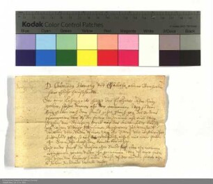 Specifikation der Lehengüter des D. Chunradus Hamerus, mit Verbesserung des Lehenbriefes.