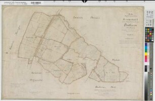 Bachum (Arnsberg), Separation der Gemarkung Bachum, Bl.2 Brouillonkarte (Bachumer Heide)