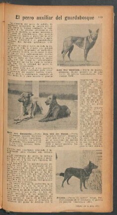El perro auxiliar del guardabosque