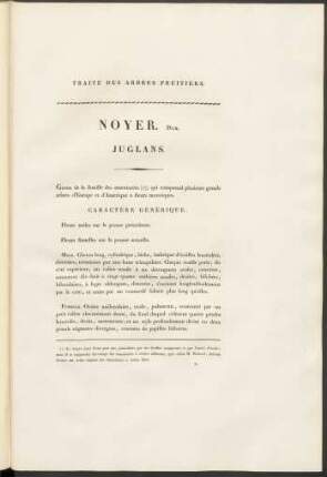 Noyer. Duh. Juglans.