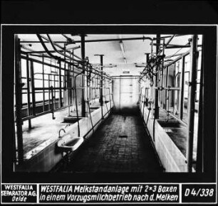 Westfalia Melkstandanlage mit 2 x 3 Boxen in einem Vorzugsmilchbetrieb nach dem Melken