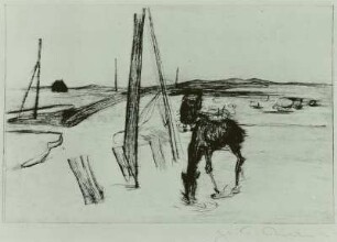 Grasendes Pferd am Weg