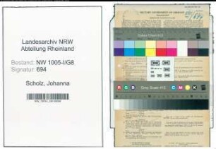 Entnazifizierung Johanna Scholz , geb. 16.11.1909 (Postbotin)