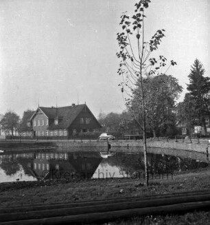 Dorfstraße: Dorfteich: vorn rechts Baum: hinten auf Straße VW-Käfer: dahinter Bäume und Häuser