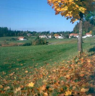 Nationalpark Bayerischer Wald. Ortsteilansicht Guglöd
