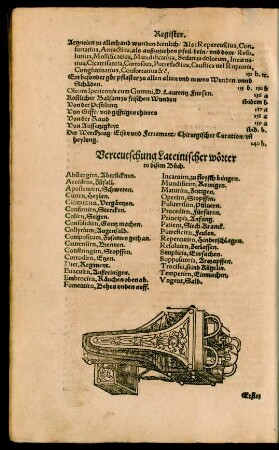 Verteutschung Lateinischer wörter in disem Buch.