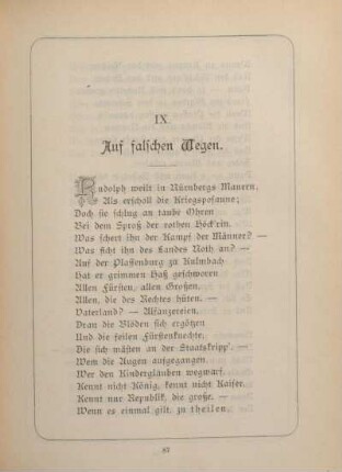 IX. Auf falschen Wegen.