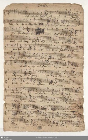 Canto. [transp.]