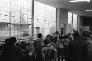 Eröffnung des neuen Raubtierhauses im Karlsruher Zoo.
