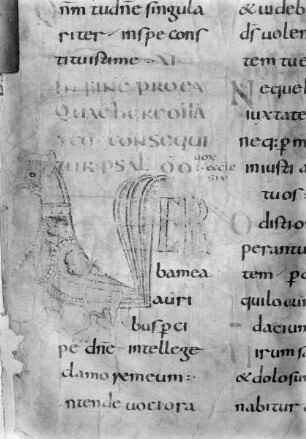 Psalter von Corbie — Initiale V aus Psalm 5, Folio 4verso