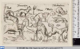 Verschiedene Tiere, darunter ein Kamel und ein Esel