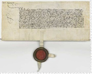 Herzog Hinrick zu Mecklenburg erneuert die den Lüneburger Bürgermeistern und Ratsmannen von seinen Vorfahren erteilten Privilegien.