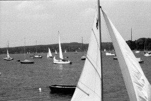 Herrsching: Betrieb am See, Windsurfing