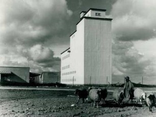Getreidemühle, 1954-1956