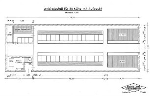 Anbindestall für 30 Kühe mit Aufzucht Maßstab 1:100