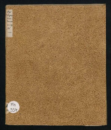 Pagi Langenbrandensis descriptio