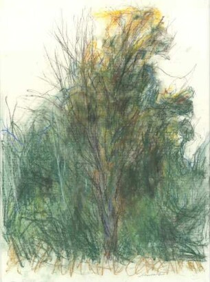 Waldstück