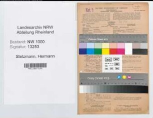 Entnazifizierung Hermann Stelzmann, geb. 18.11.1894 (Bankangest.)