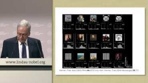 Heidelberg Lecture - Biology as Computation