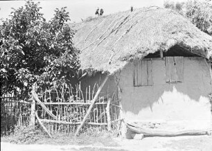 Plovdiv: Storch auf Strohdach, ganzes Haus drauf
