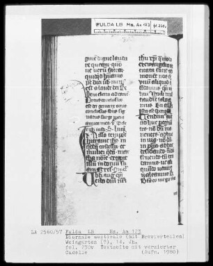 Diurnale aestivale mit Brevierteilen — ---, Folio 230versoZierinitiale
