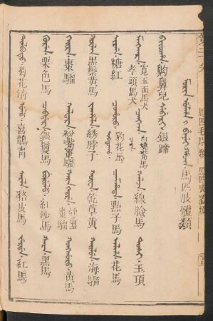 Morin ulha i beyei hacin = 馬匹肢體類